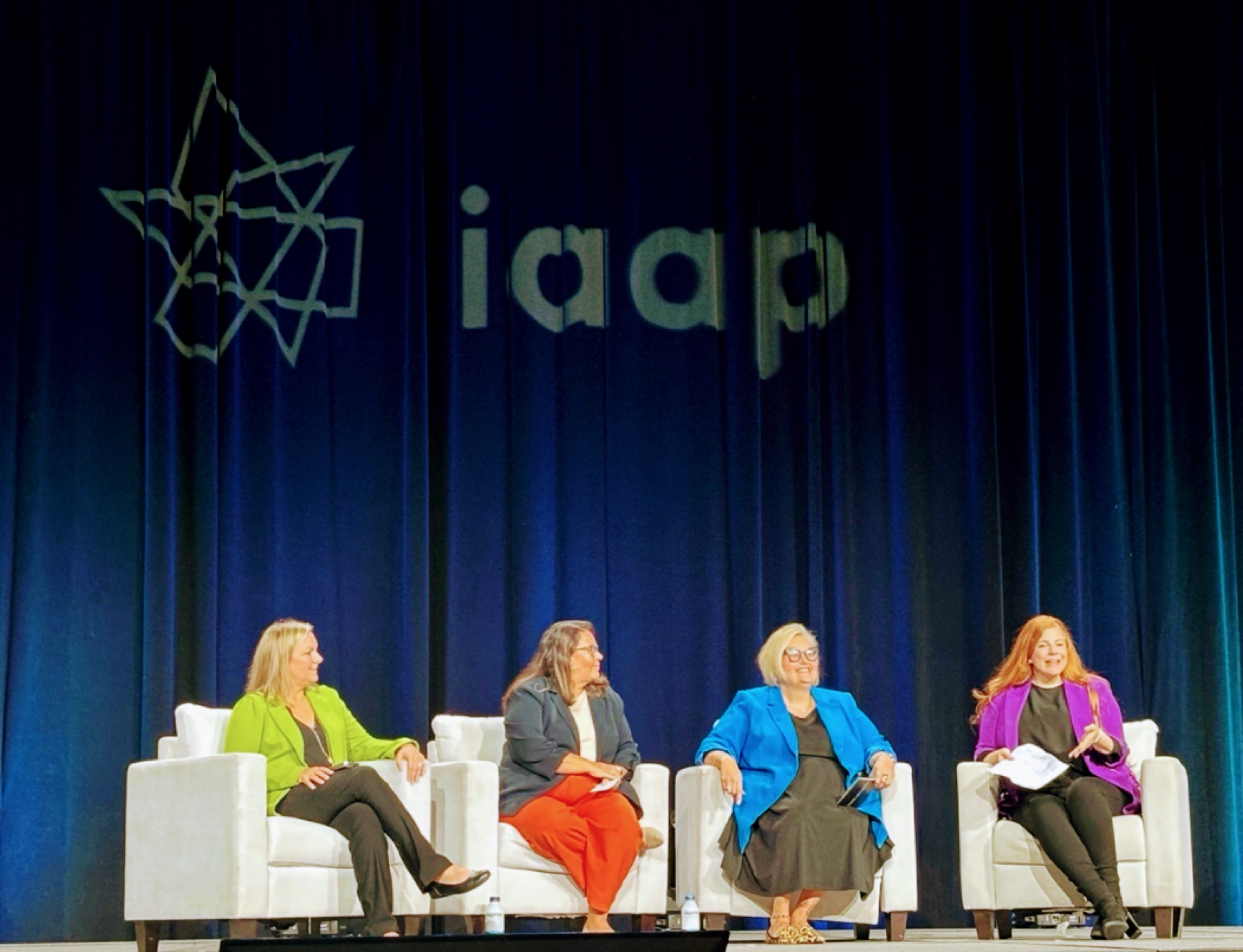 Skevi on a panel at the IAAP conference